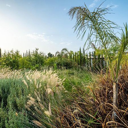 Отель The Lemonary Marrakech Ouled Moumen Экстерьер фото