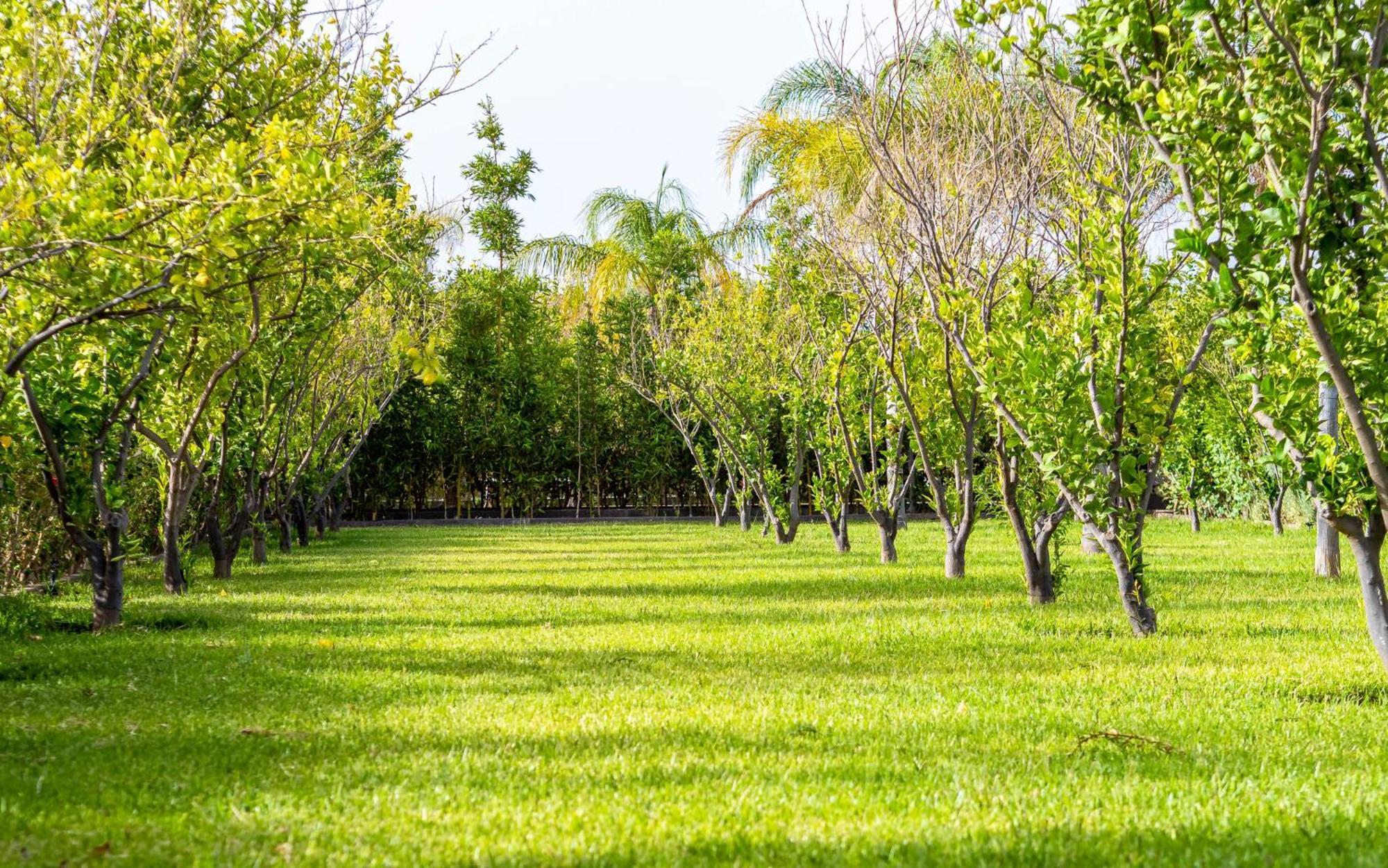 Отель The Lemonary Marrakech Ouled Moumen Экстерьер фото