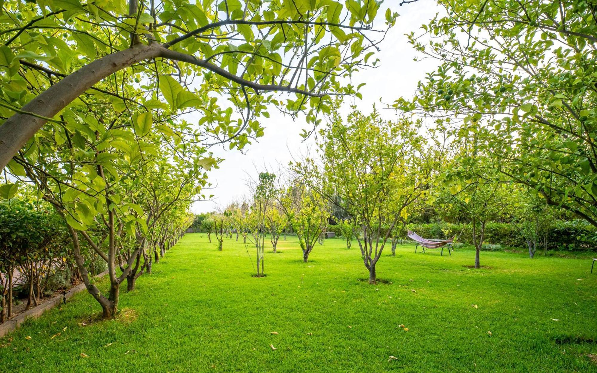 Отель The Lemonary Marrakech Ouled Moumen Экстерьер фото