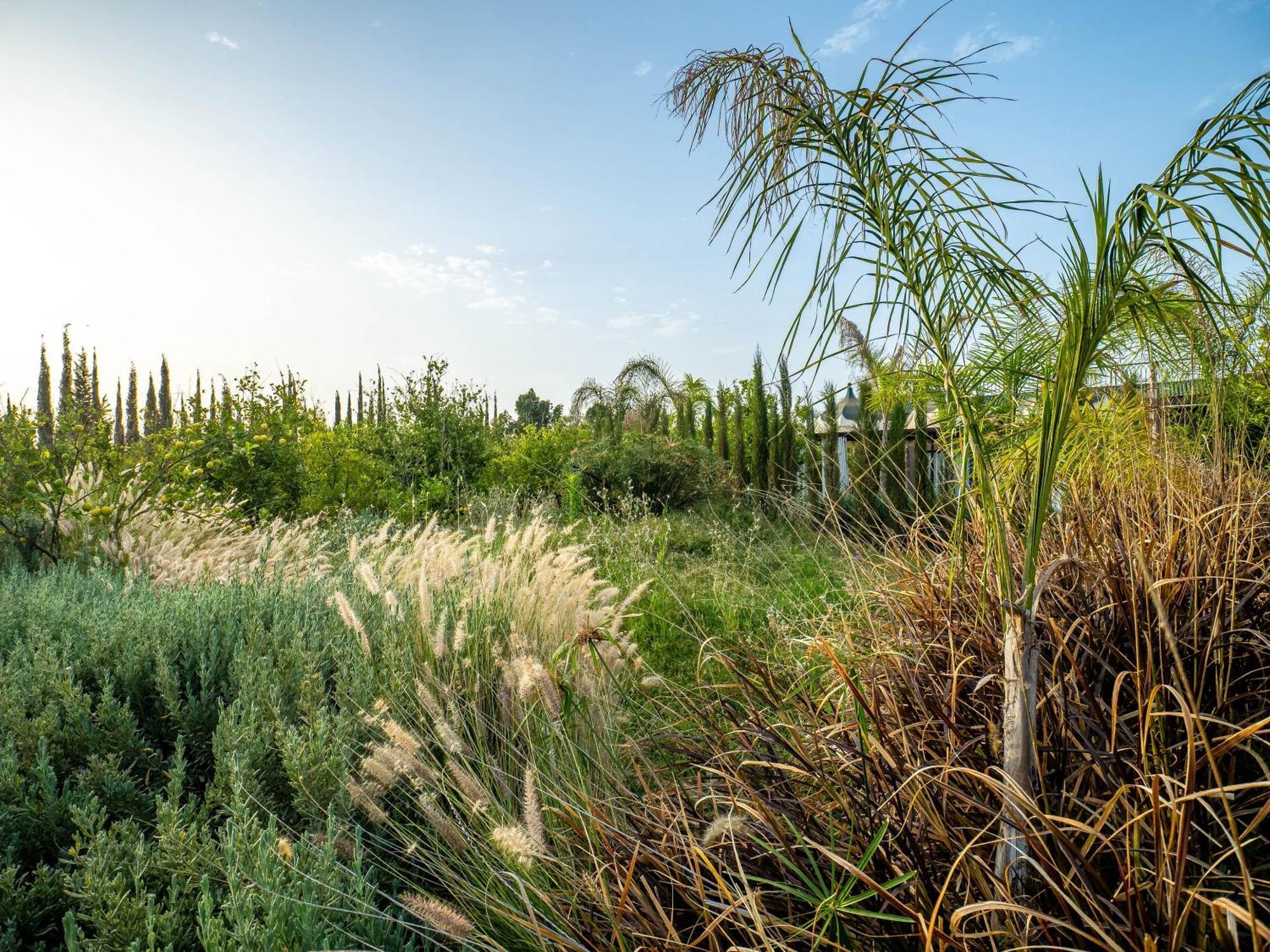 Отель The Lemonary Marrakech Ouled Moumen Экстерьер фото