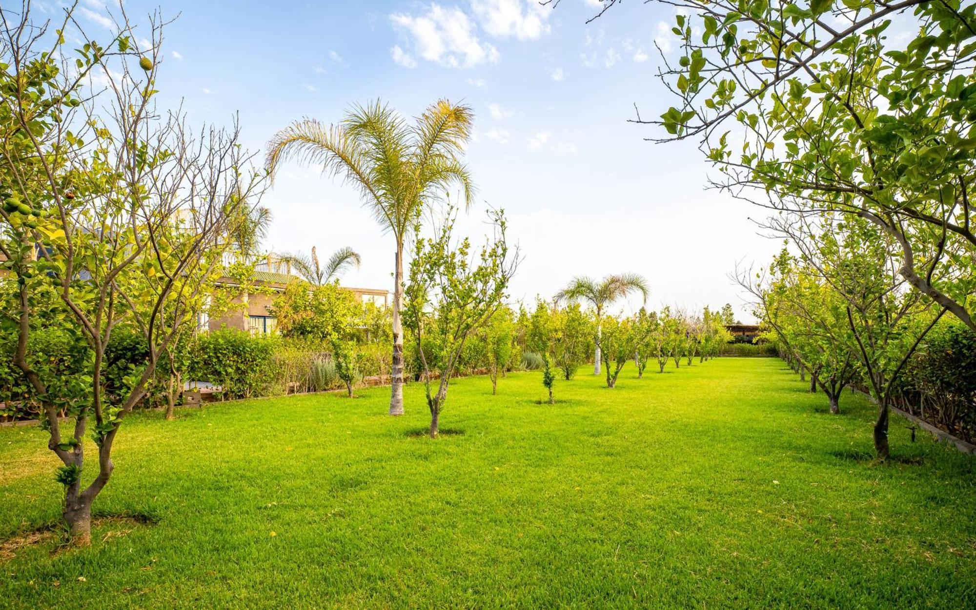 Отель The Lemonary Marrakech Ouled Moumen Экстерьер фото