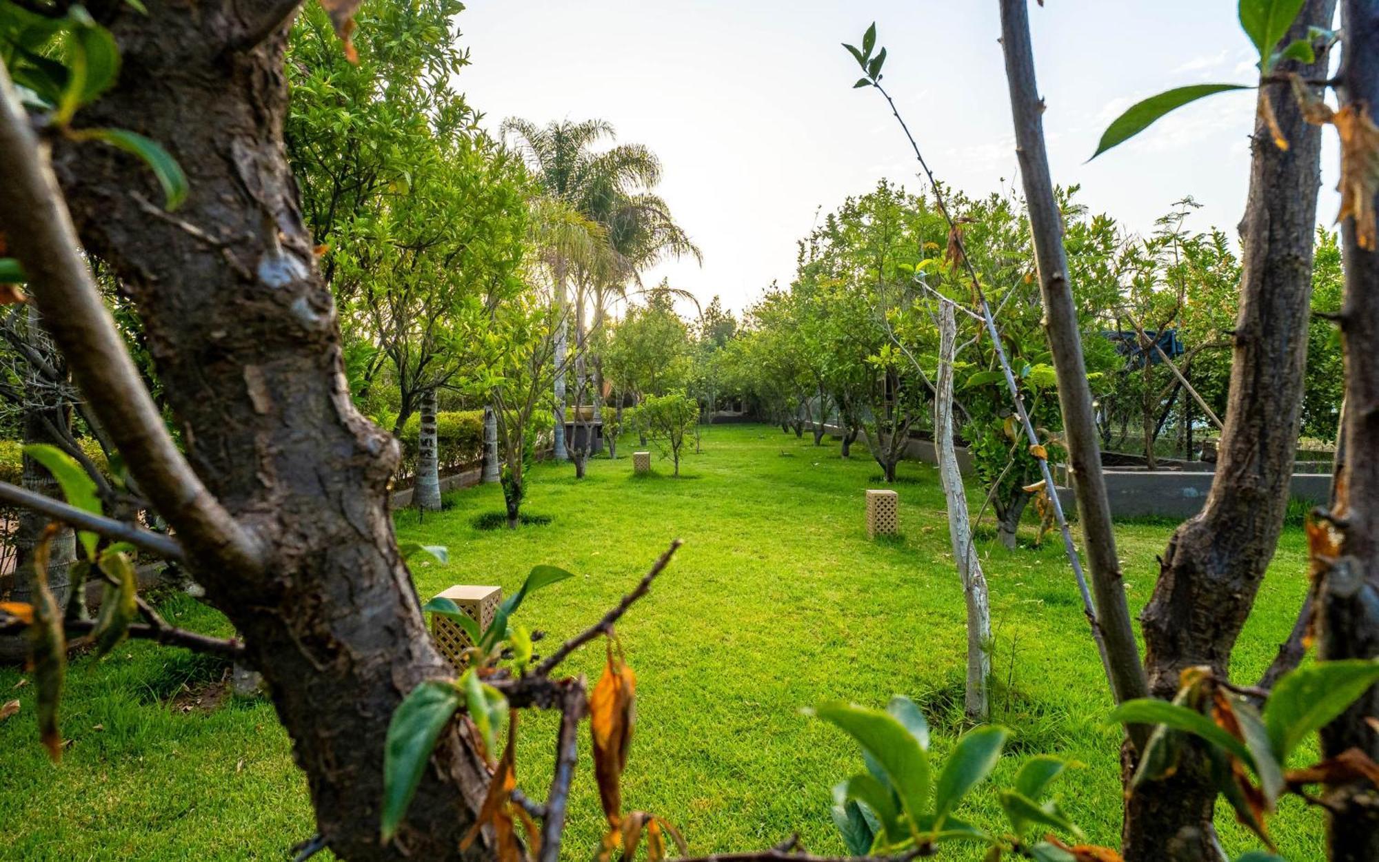 Отель The Lemonary Marrakech Ouled Moumen Экстерьер фото
