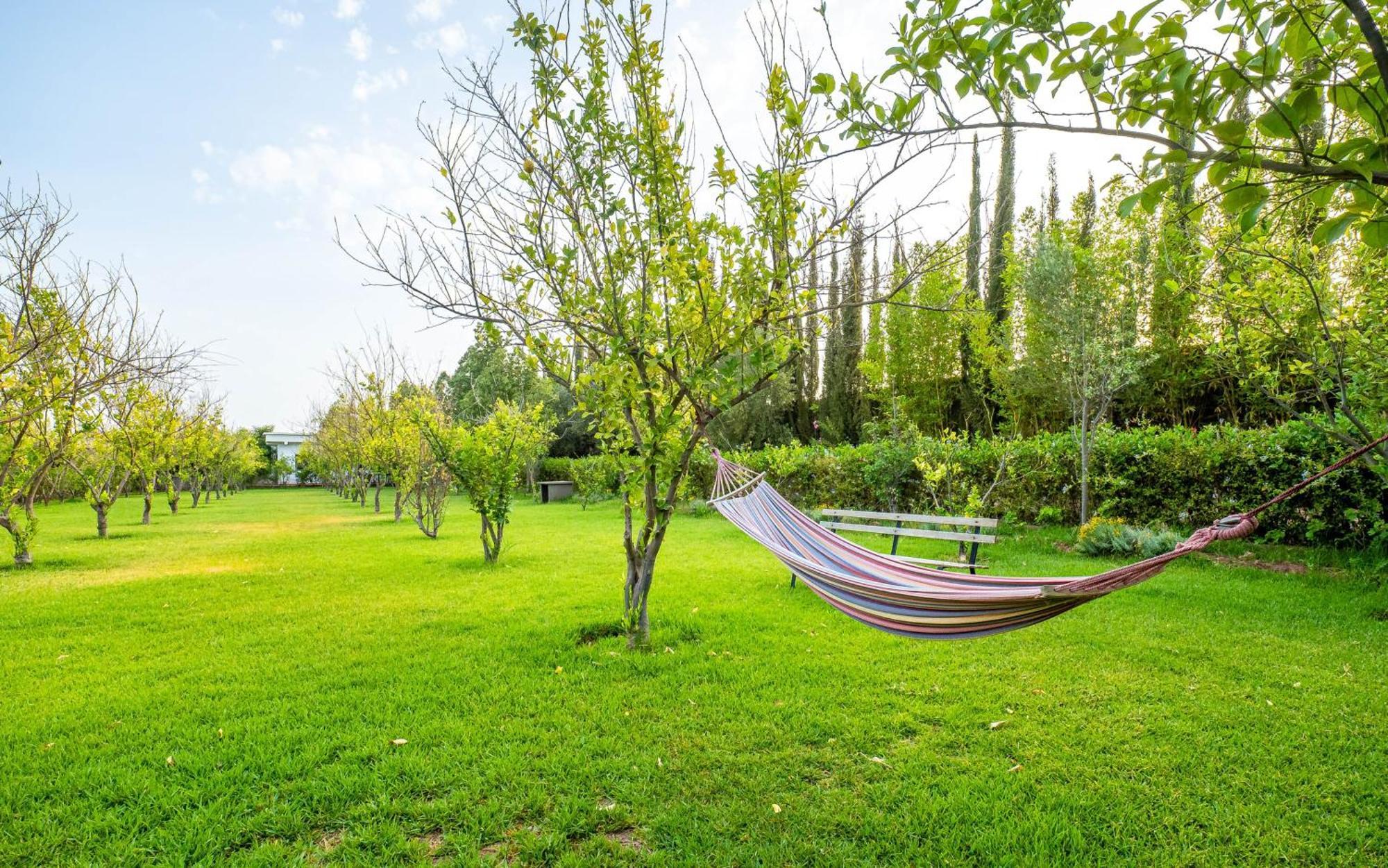 Отель The Lemonary Marrakech Ouled Moumen Экстерьер фото