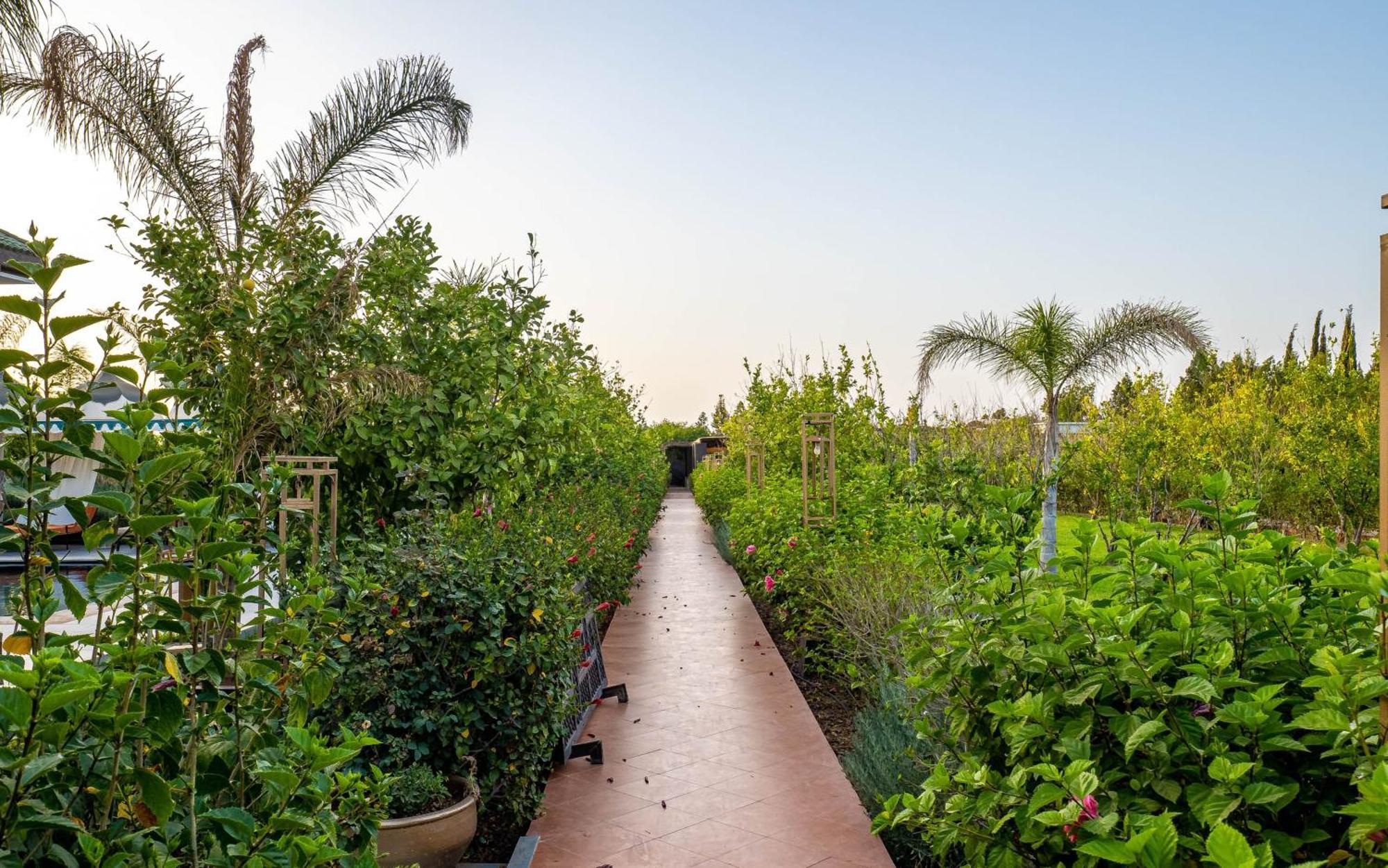 Отель The Lemonary Marrakech Ouled Moumen Экстерьер фото